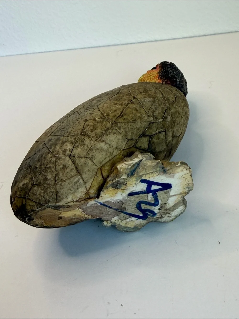 Baby Dinosaur Hatching Egg Figurine Signed 5 in.